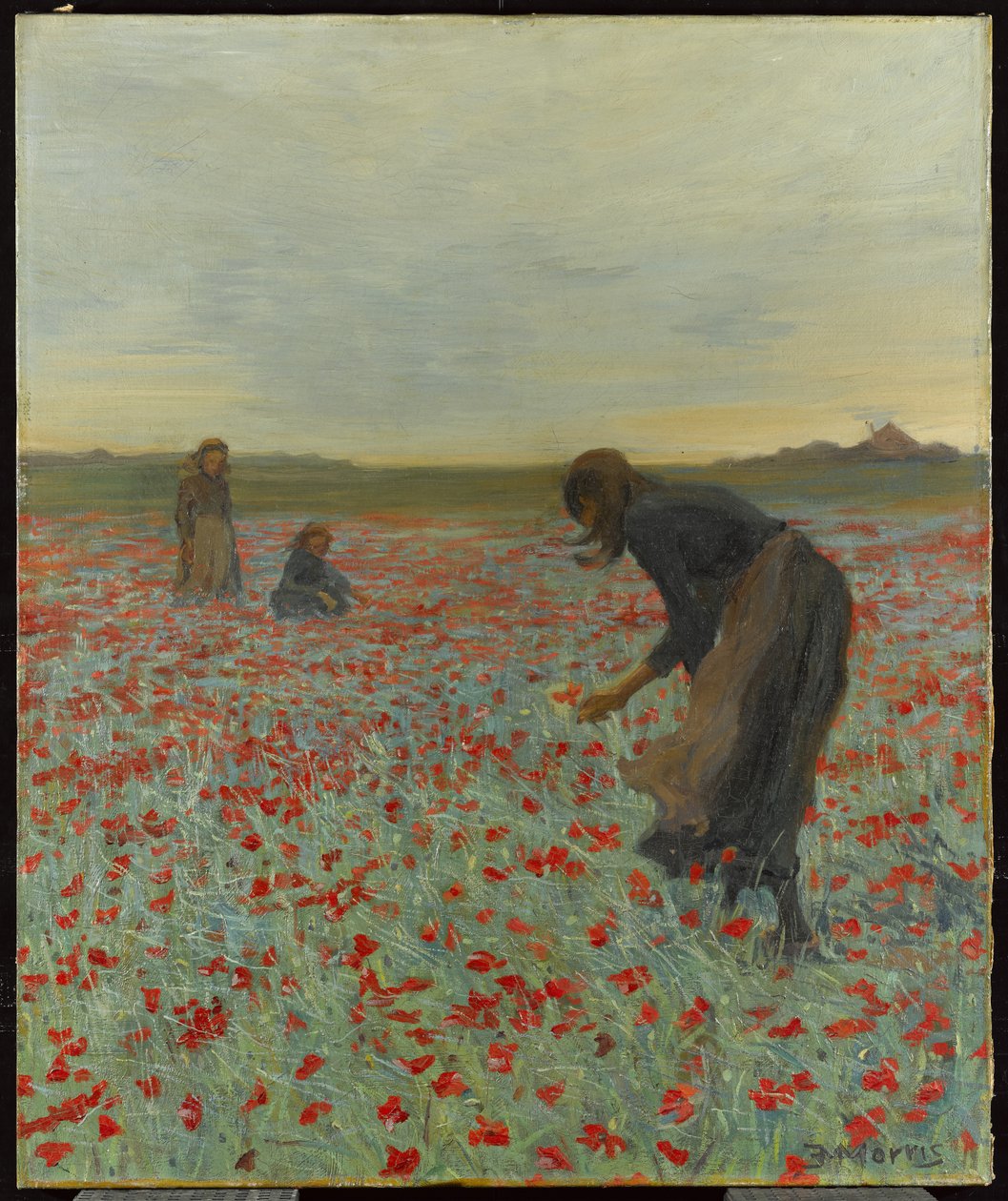 Flickor i ett vallmofält, ca 1896 av Edmund Montague Morris