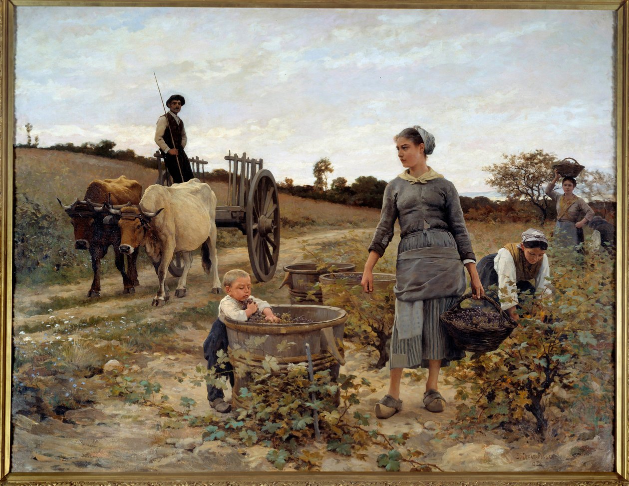 Hörn av vinstockar i Languedoc Målning av Edouard Debat Ponsan (1847-1913) 1886 Sön. 2,02x2,6 m Nantes, Musee des Beaux Arts av Edouard Debat Ponsan