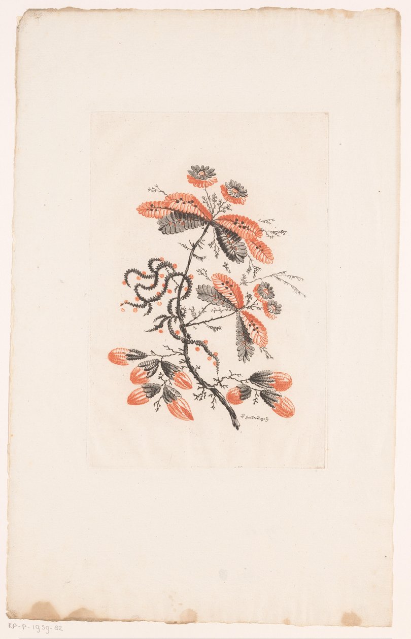 Blommor och knoppar Fleurs Idealle (serietitel) av Edouard Gautier Dagoty