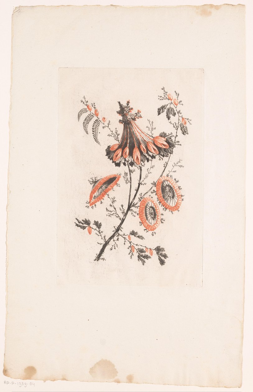 Parasollformade blommor Fleurs Idealle (serietitel) av Edouard Gautier Dagoty