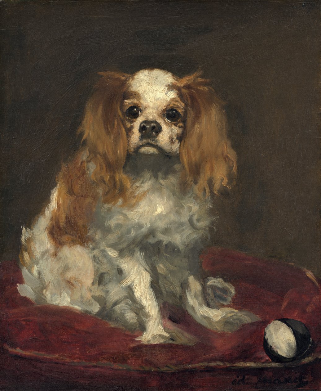 En King Charles Spaniel, ca 1866 (olja på linne) av Édouard Manet
