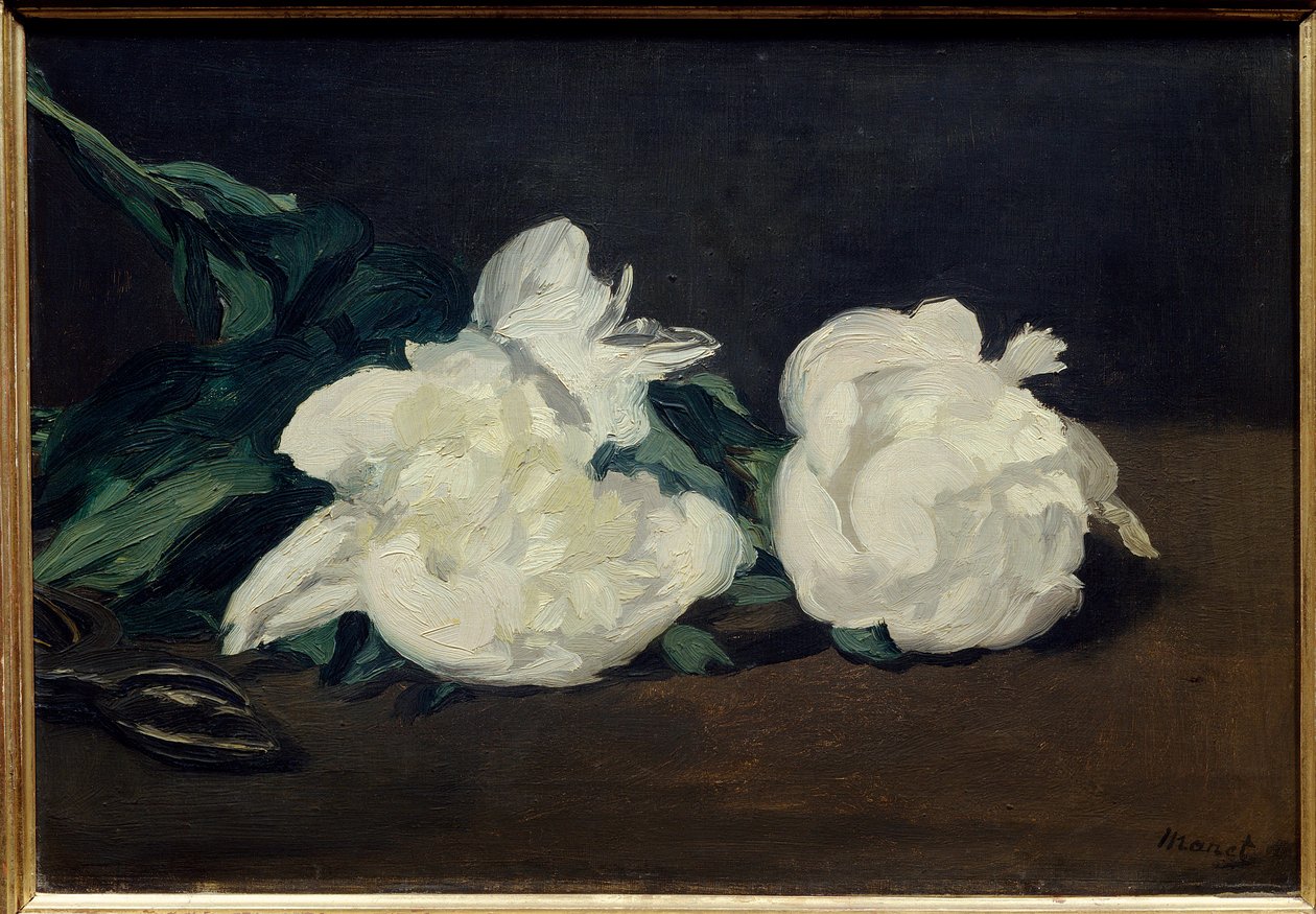 Gren av vita pioner och sekatör Målning av Edouard Manet (1832-1883) 1864 Dim. 0,31x0,46 m. Paris. Orsay museum av Édouard Manet