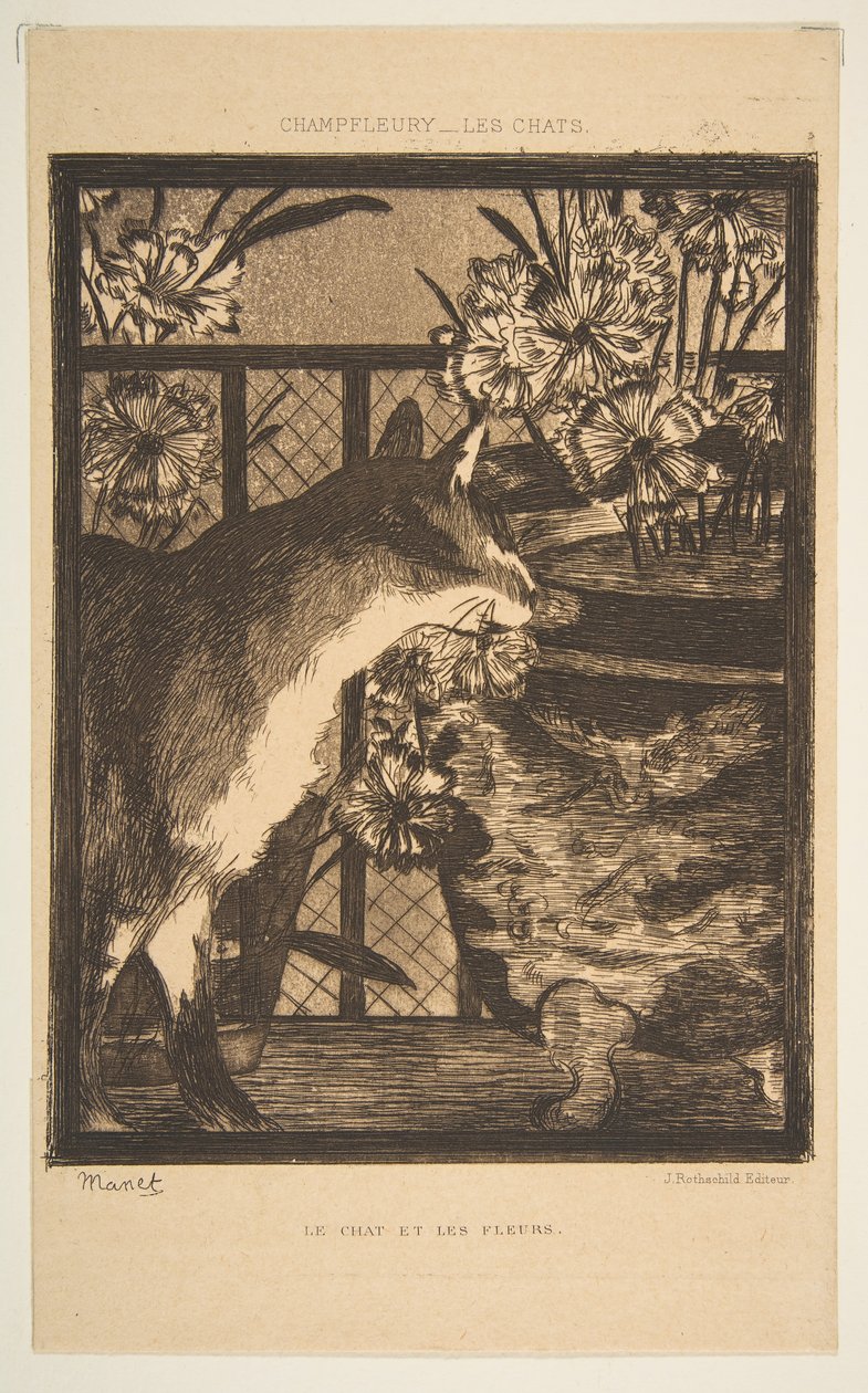 Katt och blommor. Illustration till katterna av Champfleury, 1869. av Édouard Manet
