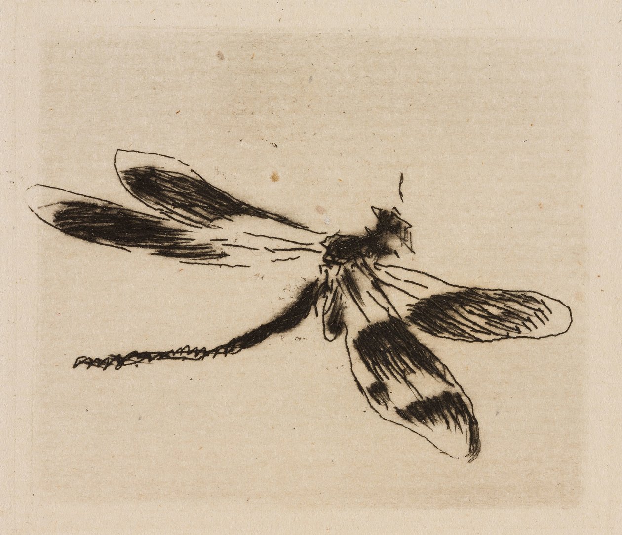 Dragonfly, tallrik 1 från The River av Édouard Manet