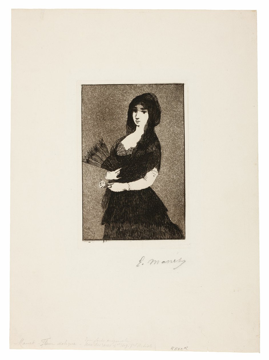 Exotisk blomma (kvinna i en mantilla) av Édouard Manet