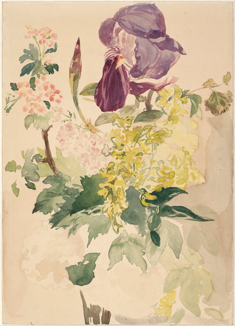 Blomsterstycke med Iris, Laburnum och Pelargon, 1880 av Édouard Manet