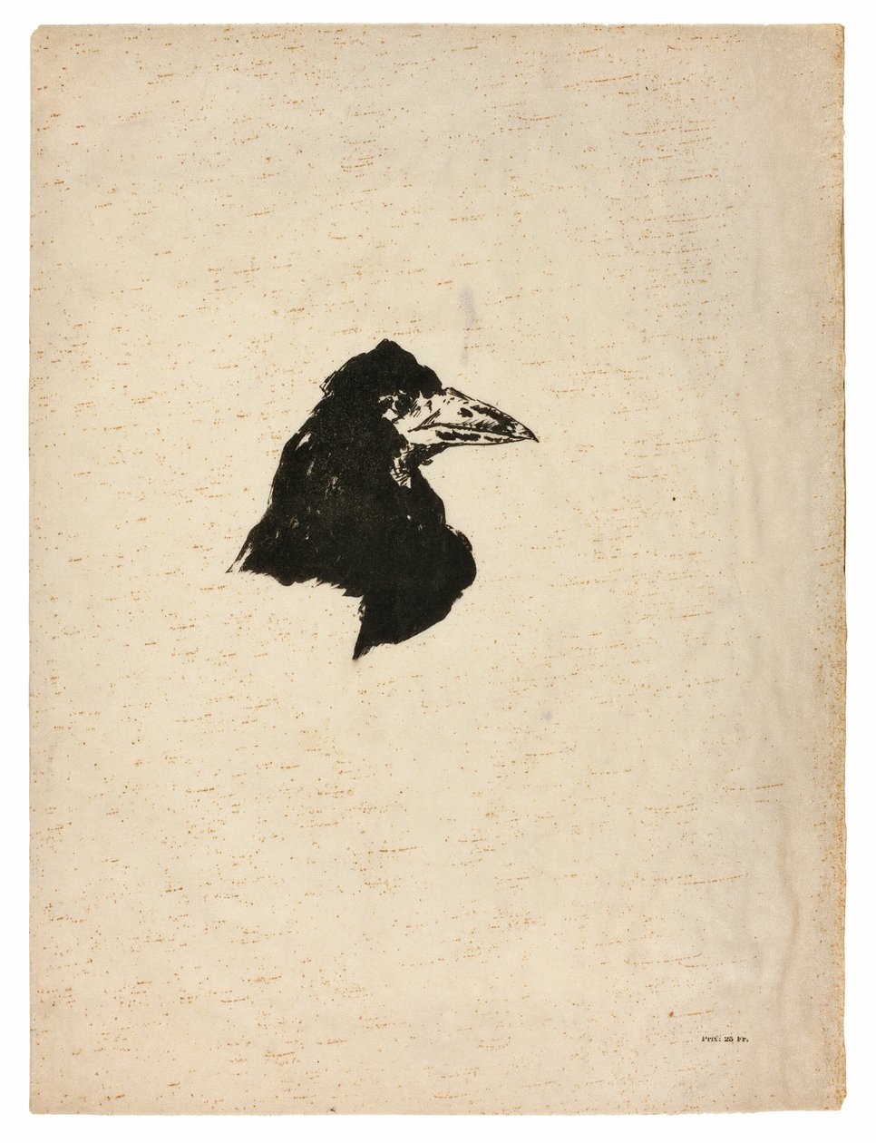Head of a Raven in Profile, från The Raven (Le Corbeau) av Édouard Manet