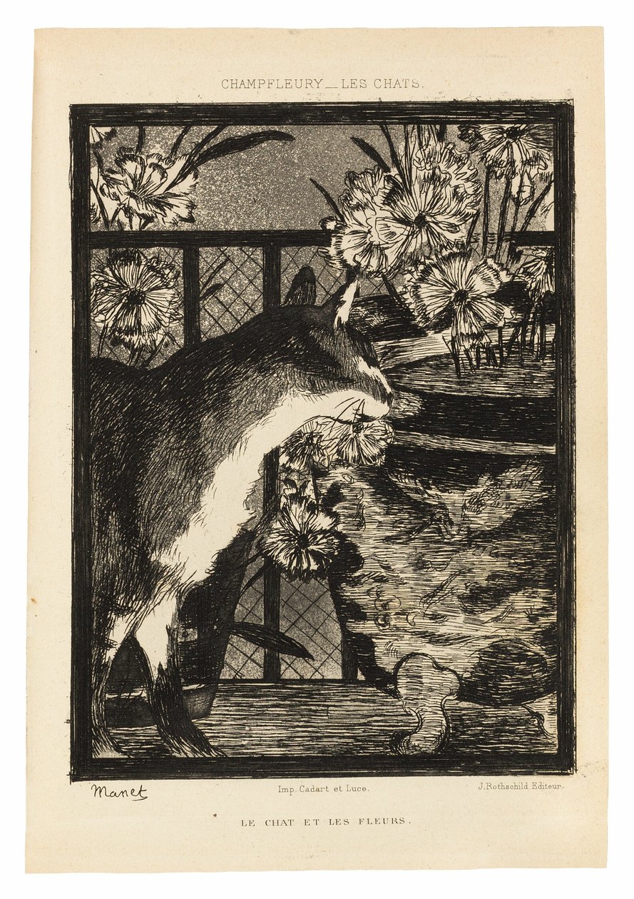 Katter av Édouard Manet