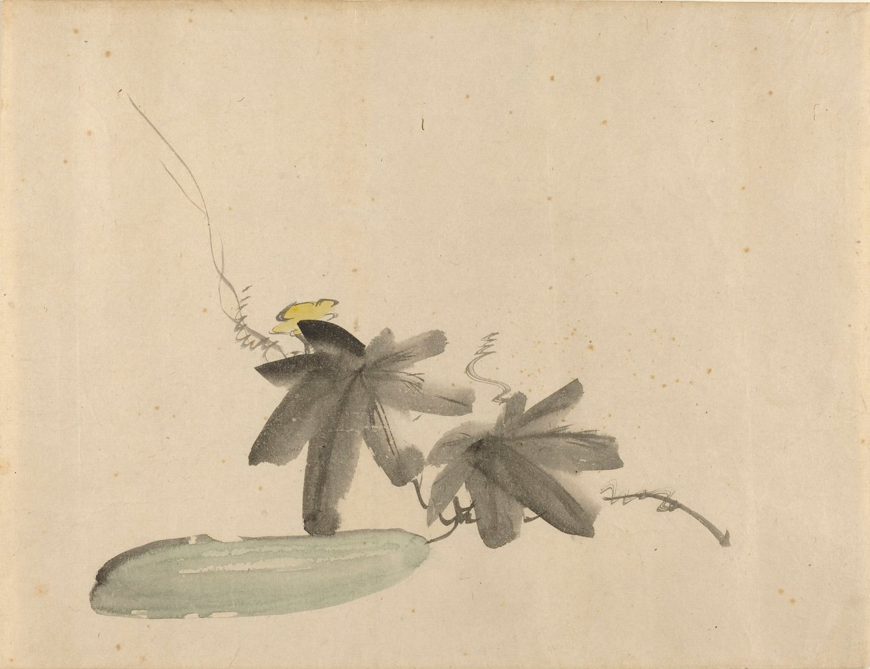 Manet - Gurka med blad, ca 1880 av Édouard Manet