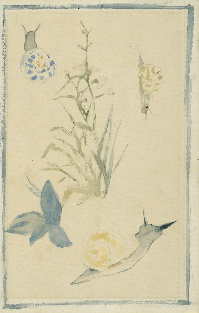 Skisser av sniglar, blommande växt, c.1880 av Édouard Manet