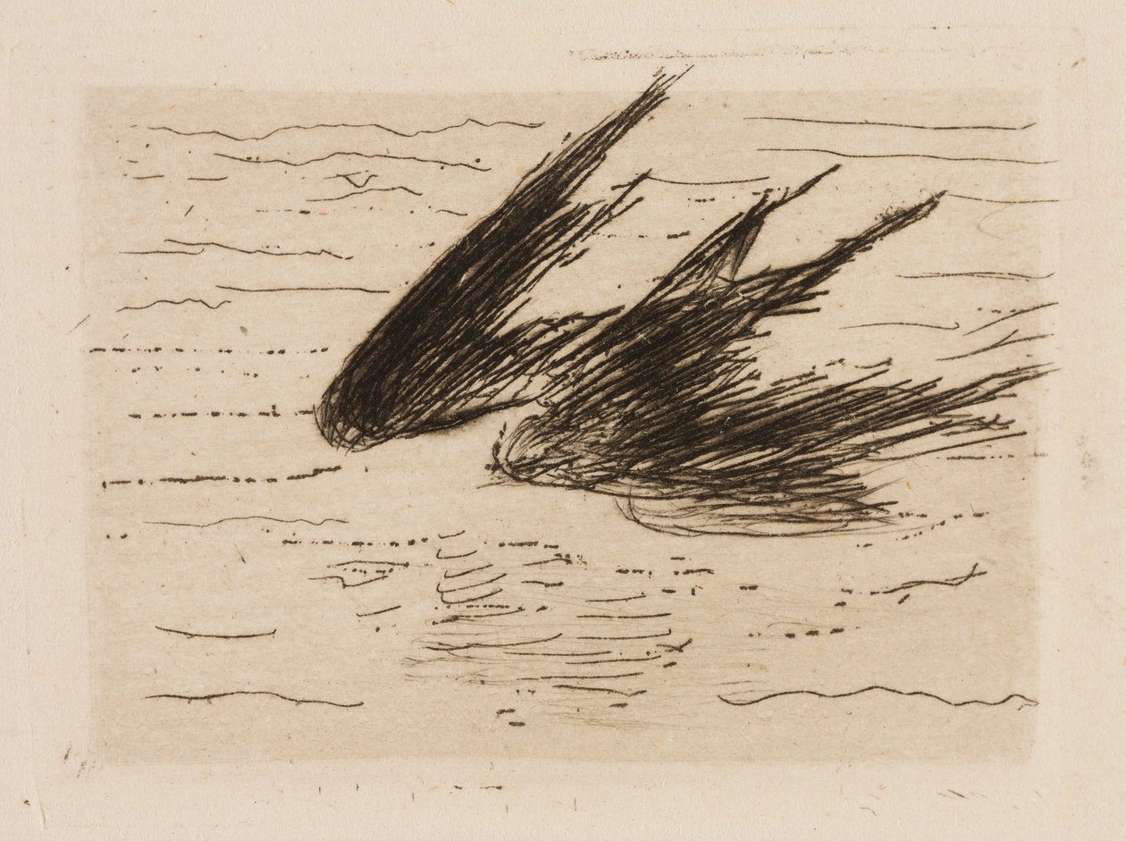 Svalor, plansch 8 från Le Fleuve av Édouard Manet
