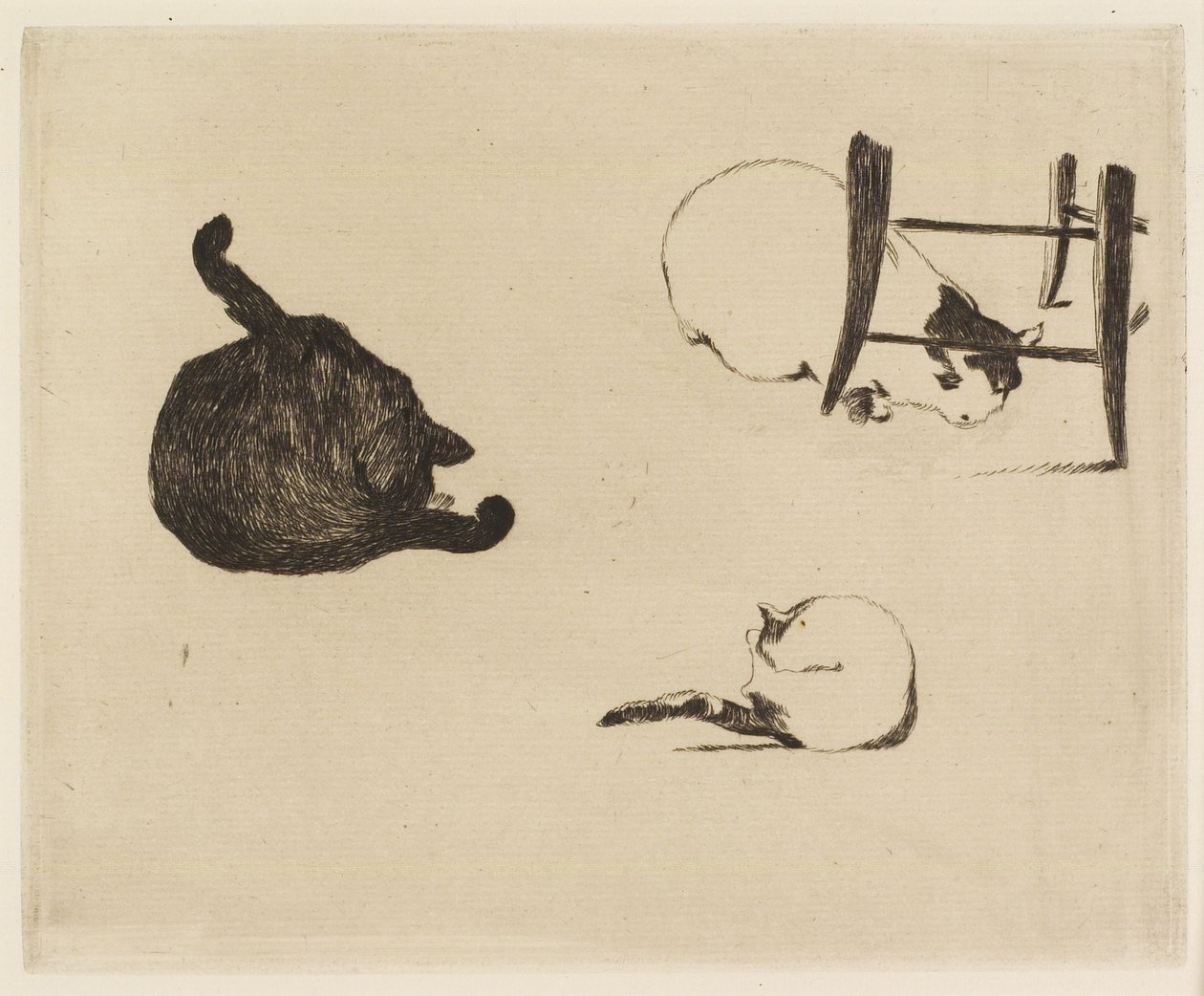 Katterna, 1869 av Édouard Manet