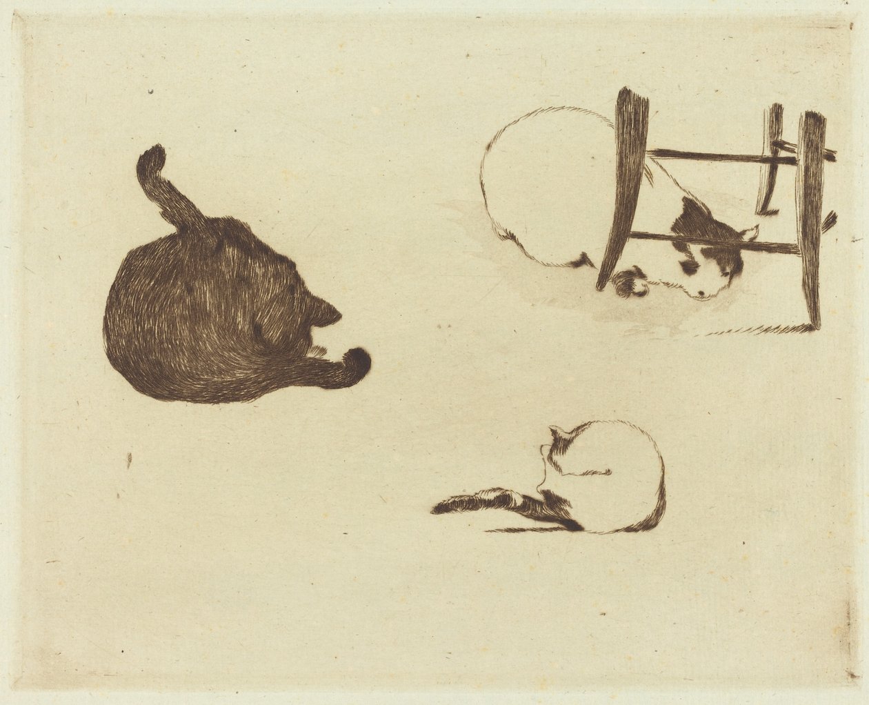 swedish av Édouard Manet