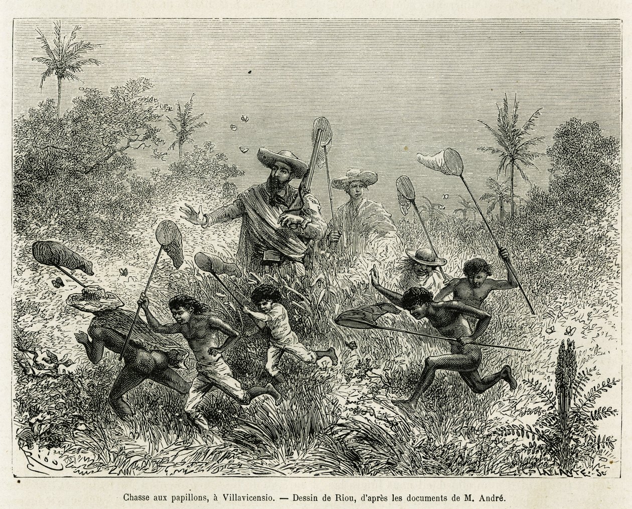 Ett gäng barn jagade efter fjärilar, tillsammans med författaren, en Villavicensio (Colombia), teckning av Riou, för att illustrera historien om Equinoxiale America (Colombia, Ecuador, Peru), 1875-1876, av Ed. andre, resenär som ansvarar för uppdraget av F av Edouard Riou