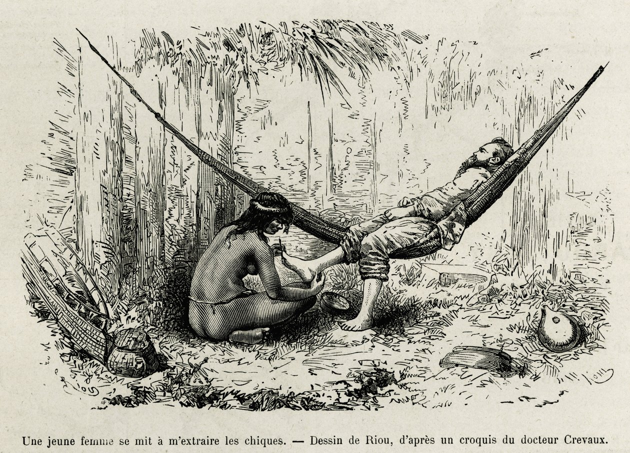 En ung Roucouyan kvinna drar ut shies som har strålat upptäcktsresandens fötter under natten. Gravyr av Riou, för att illustrera historien om Cayenne aux Andes, av Jules Crevaux, läkare för franska flottan, 1878-1879, publicerad i Tour du monde, un av Edouard Riou