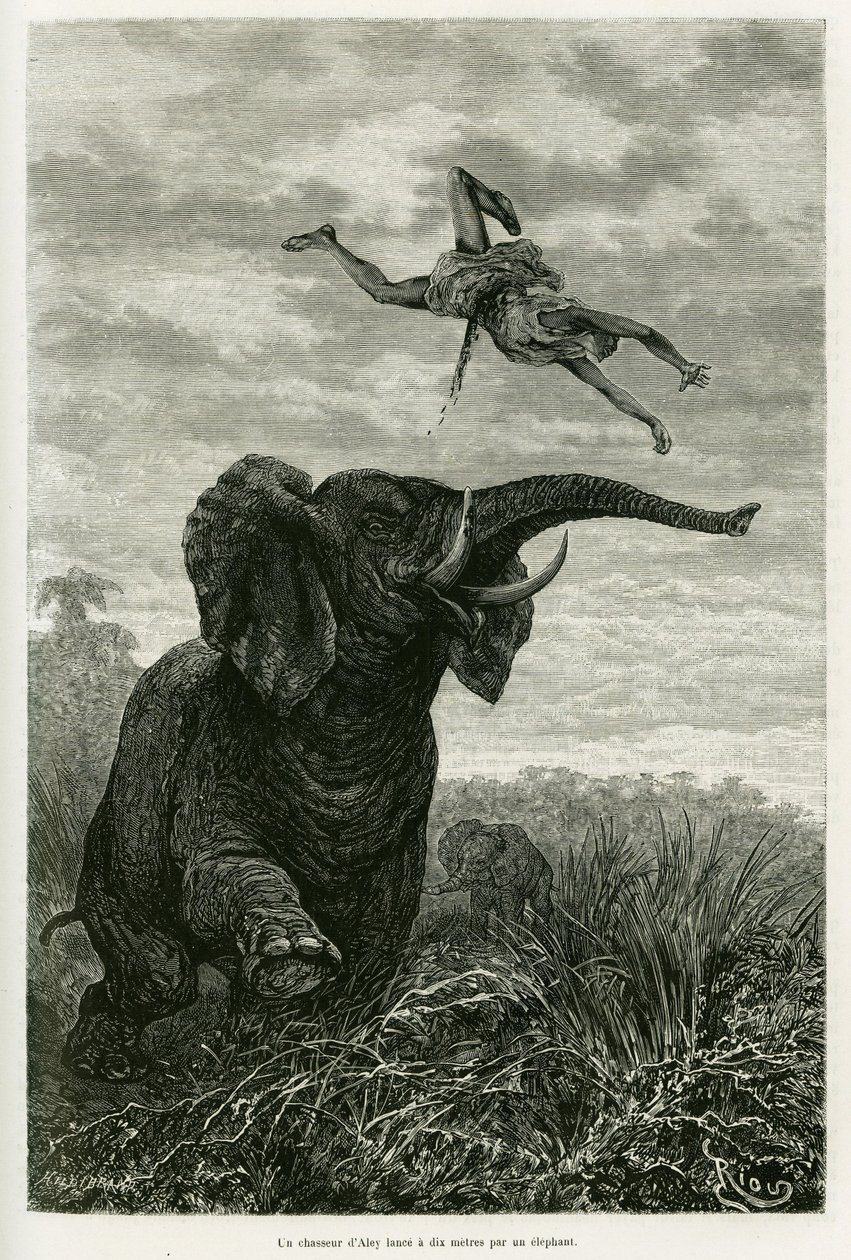 Aleys jägare kastar en mil från en elefant. Gravyr av Riou för att illustrera historien Les lacs de l