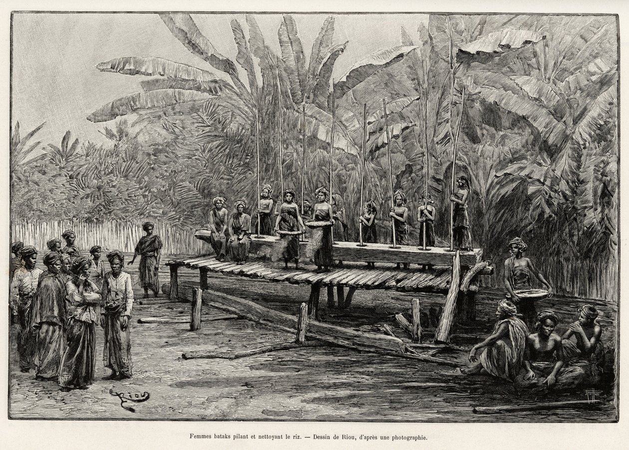Batak-kvinnor, etnisk grupp på norra Sumatra, dunkar och städar ris. Gravyr av Riou för att illustrera berättelsen "ett år i Malaysia", av Jules Claine (1856-1939) av Edouard Riou