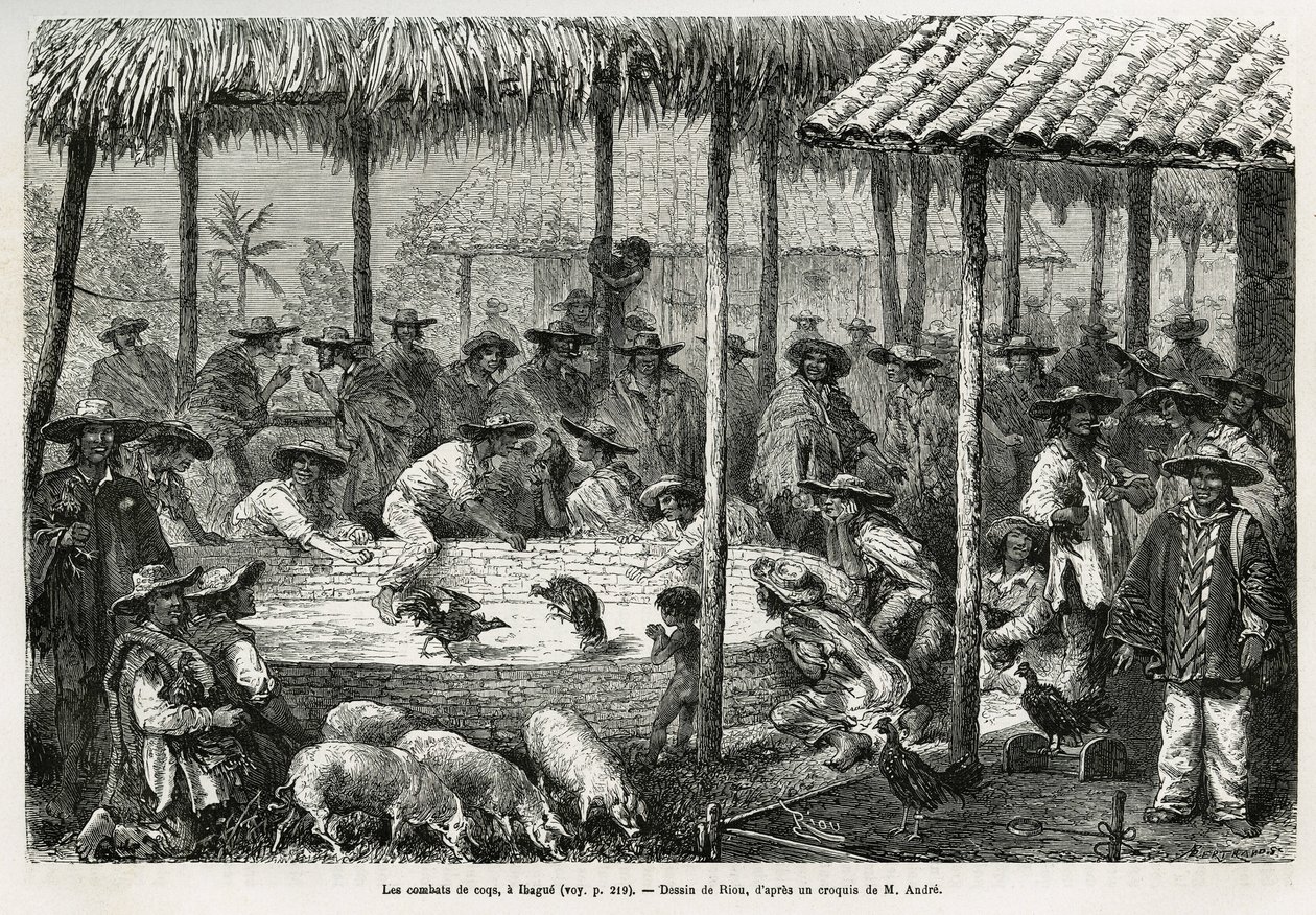 Tuppfäktning och gatuanimation i Ibague (Colombia), teckning av Riou, för att illustrera historien om Equinoxiale America (Colombia, Ecuador, Peru), 1875-1876, av Ed. andre, resemissionsavgift av den franska regeringen. Gravyr i Le tour du monde av Edouard Riou
