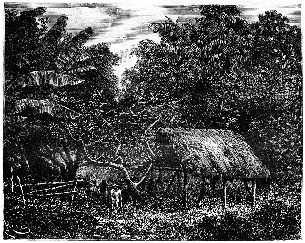 Guyana, Sydamerika, 1800-talet av Edouard Riou