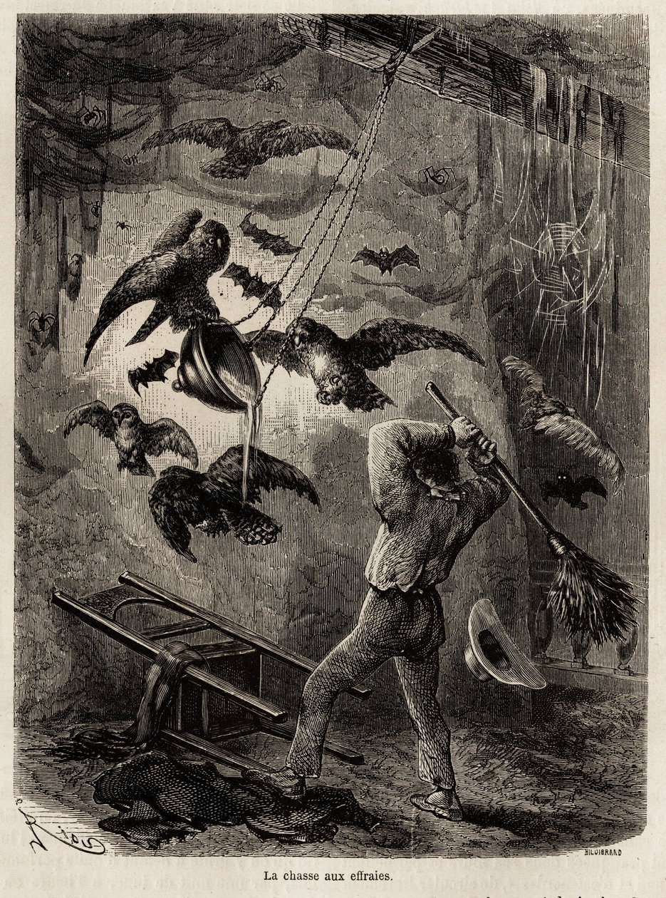 Jakt på ugglor som flyktat i kyrkan i Sarayacu (Peru), teckning av Riou, för att illustrera Paul Marcoys resa från Stilla havet till Atlanten från 1848 till 1860. Gravyr i "" Le tour du monde"", redigerad av Edouard Charton av Edouard Riou