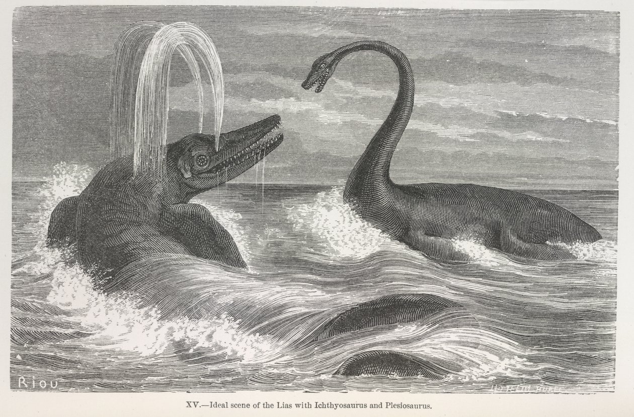 "Ideal scen för lias med Ichthyosaurus och Plesiosaurus" av Edouard Riou