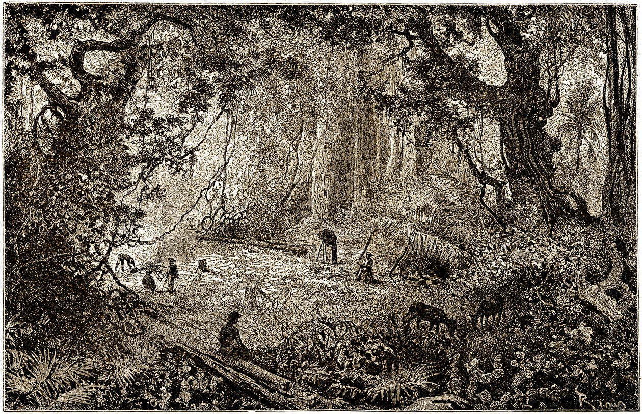 Installation av ett läger för upptäcktsresande i Guatemala (1882) av Edouard Riou