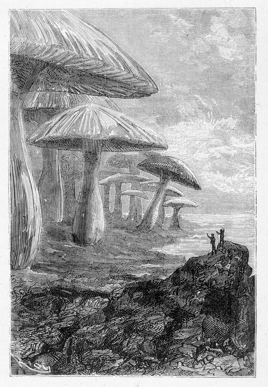 Det är bara en skog av svamp, säger han och ritar av Riou i "" Voyages Extraordinary"" av Jules Verne, red. Hetzel, n.d. 19:e. av Edouard Riou