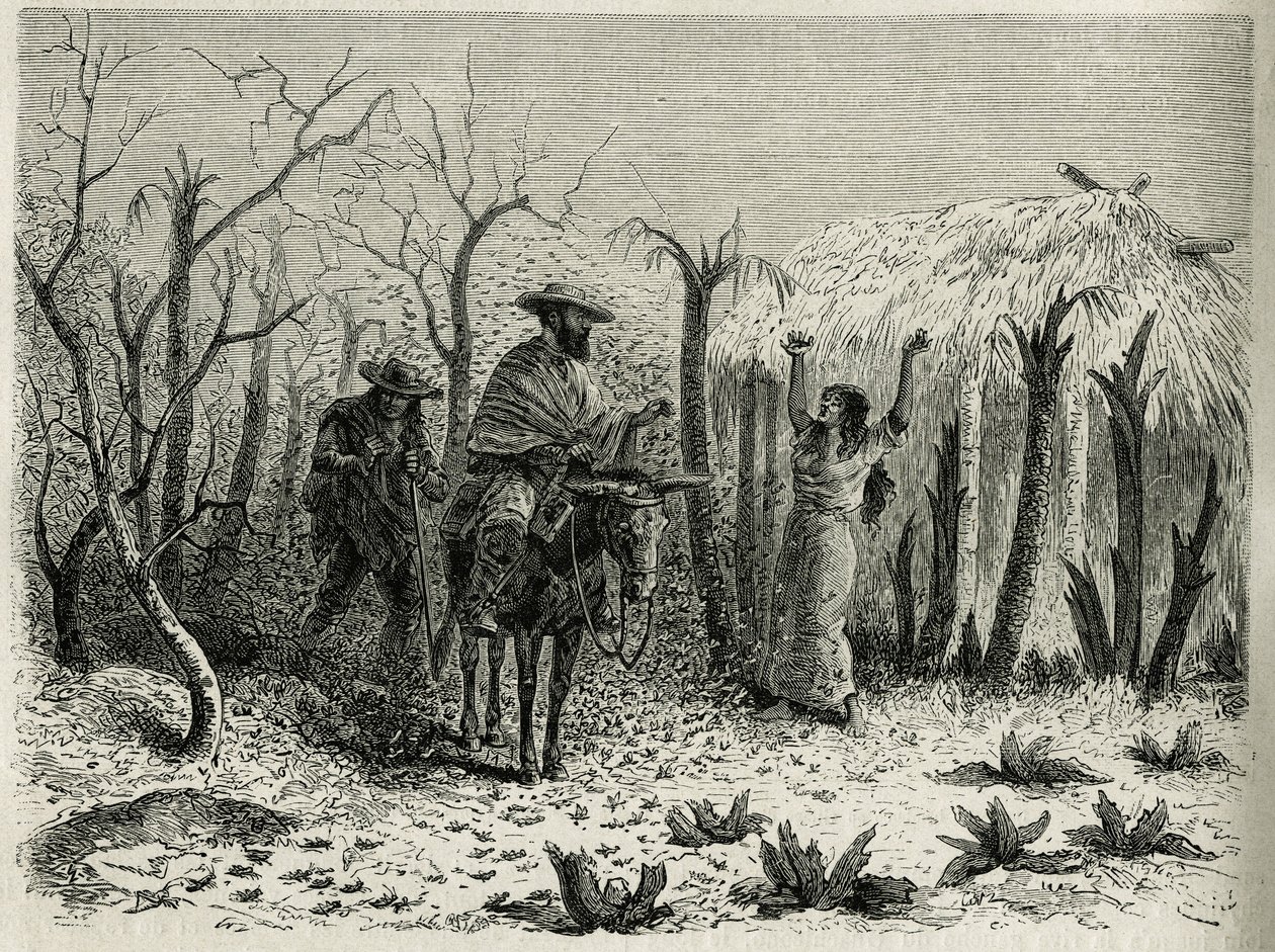 The Clouds of Grasshoppers of the Vallee du Upper Patia, med på sin mula resans berättare, graverad av Riou, för att illustrera historien L