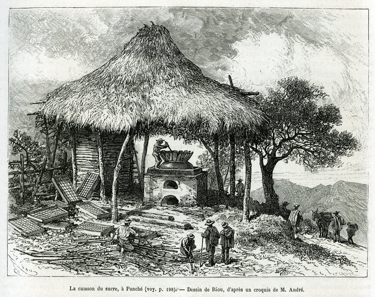 The Sugar Baking Oven, i Panche (Colombia), teckning av Riou, för att illustrera historien om Equinoxiale America (Colombia, Ecuador, Peru), 1875-1876, av Ed. andre, resemissionsavgift från den franska regeringen. Gravyr i Le tour du monde av Edouard Riou