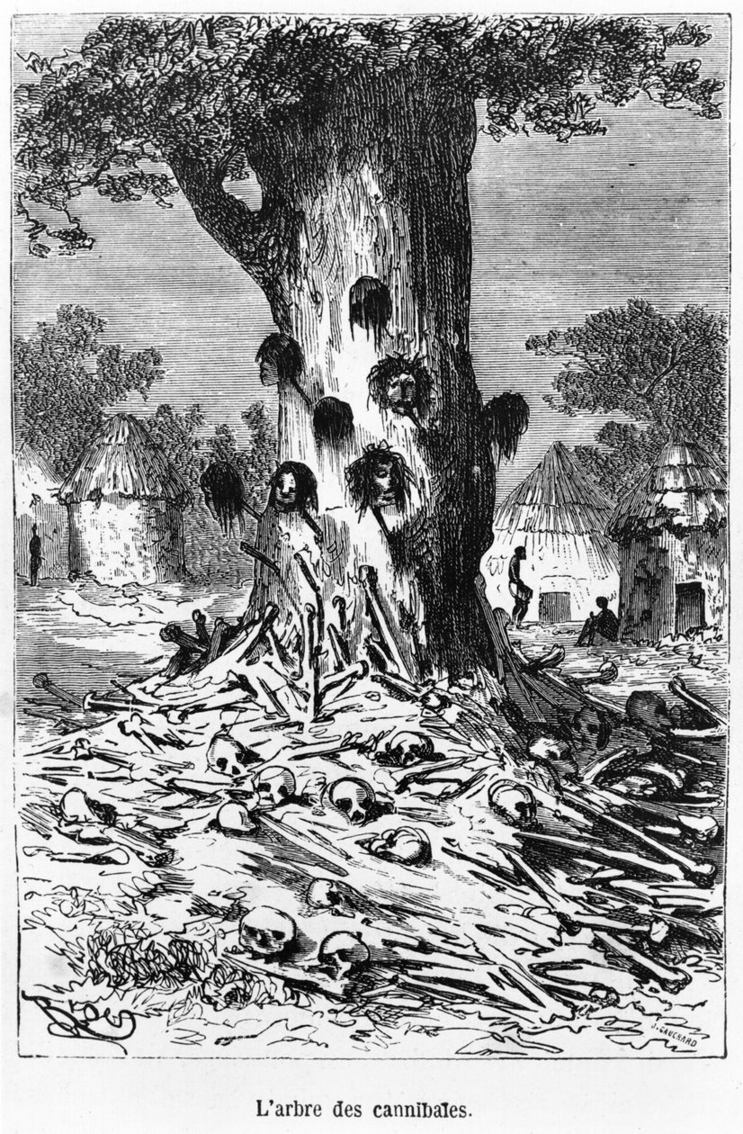Kannibalernas träd, illustration från "Fem veckor i en ballong" av Jules Verne (1828-1905) Paris, Hetzel av Edouard Riou