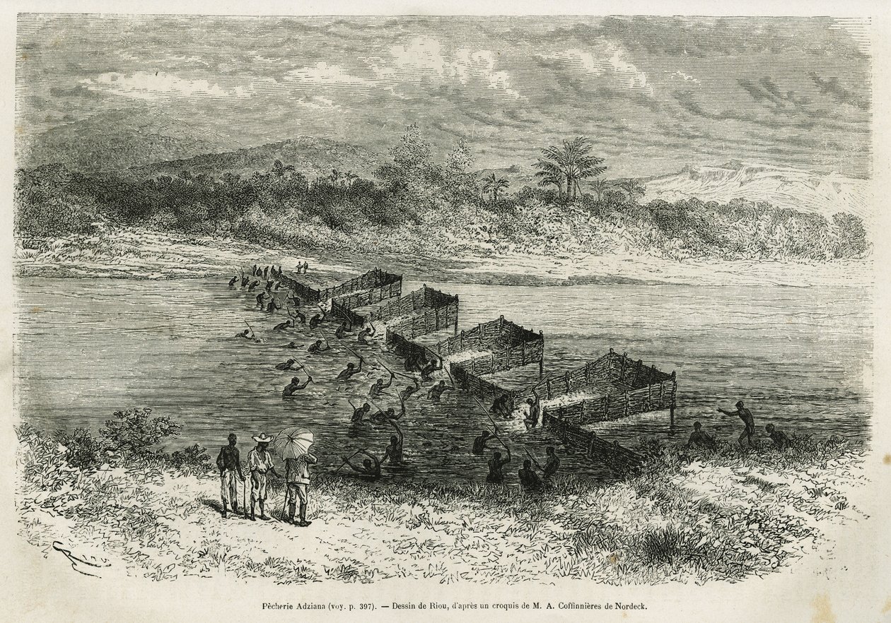 Fiskeindustrin vid floden Eboga, som fångar fisken, leder genom forsen genom sina bambuleror, ritad av Riou, för att illustrera historien om en resa till Gabon och floden Ogoue, 1875-1877, av Alfred Marche. Gravyr i Le tour du monde av Edouard Riou