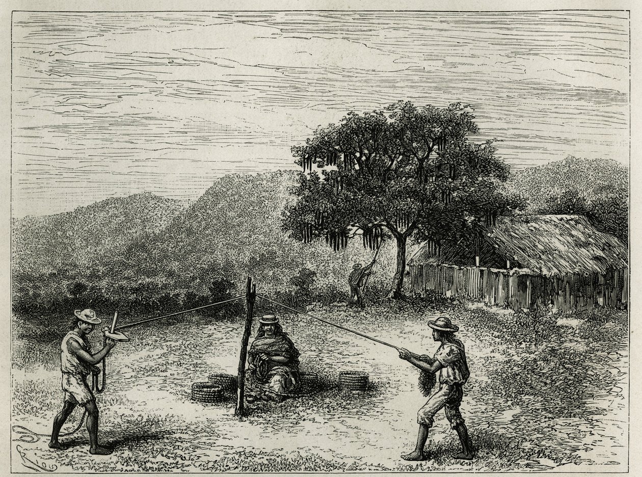 Tillverkningen av cabuya, sträng av Fourcroya, nära Cartago (Colombia), gravyr av Riou, för att illustrera historien om Equinoxiale America av E.Andre, uppdragsuppdrag av den franska regeringen, publicerad i tour du monde, under ledning av E av Edouard Riou