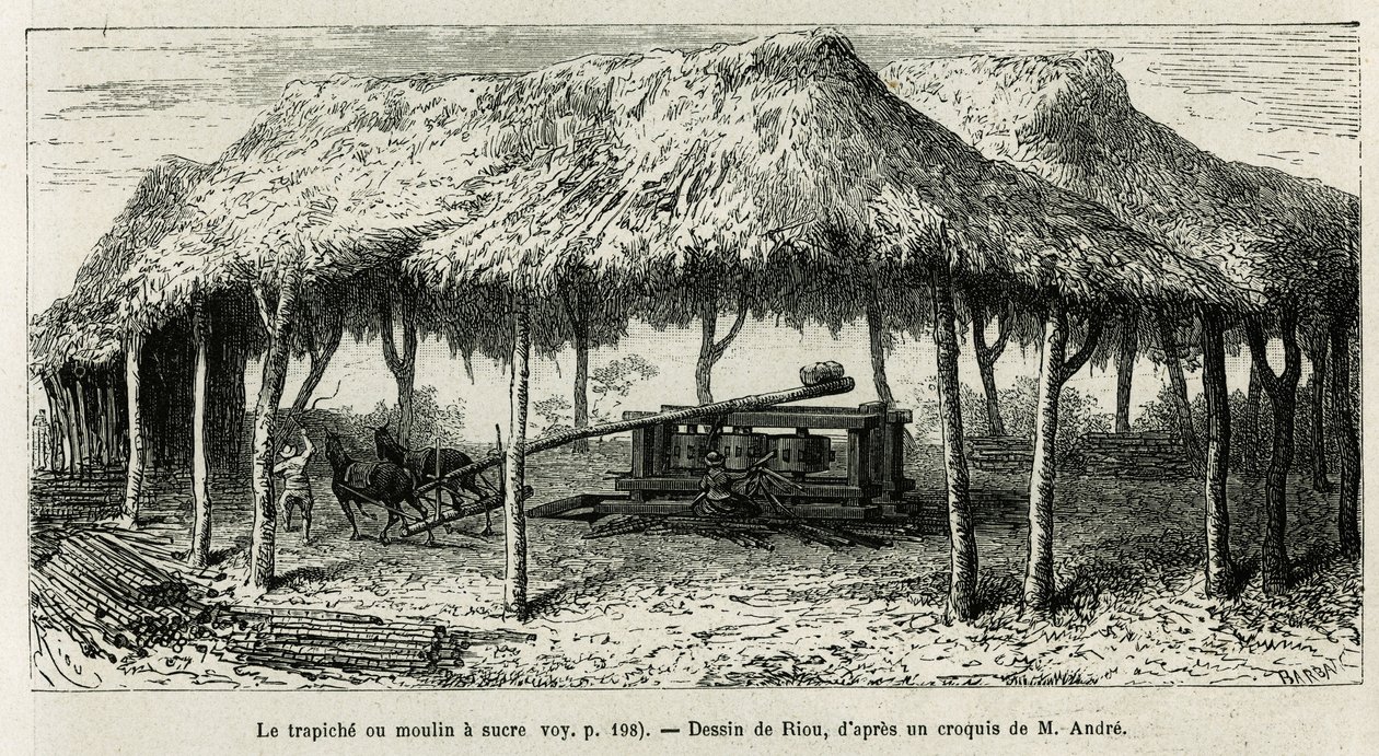 Trapichen, eller sockerkvarnen för att mala käpparna i Panche (Colombia), teckning av Riou, för att illustrera historien om Equinoxiale America (Colombia, Ecuador, Peru), 1875-1876, av Ed. andre, resemissionsavgift av den franska regeringen. Gravyr i Le t av Edouard Riou