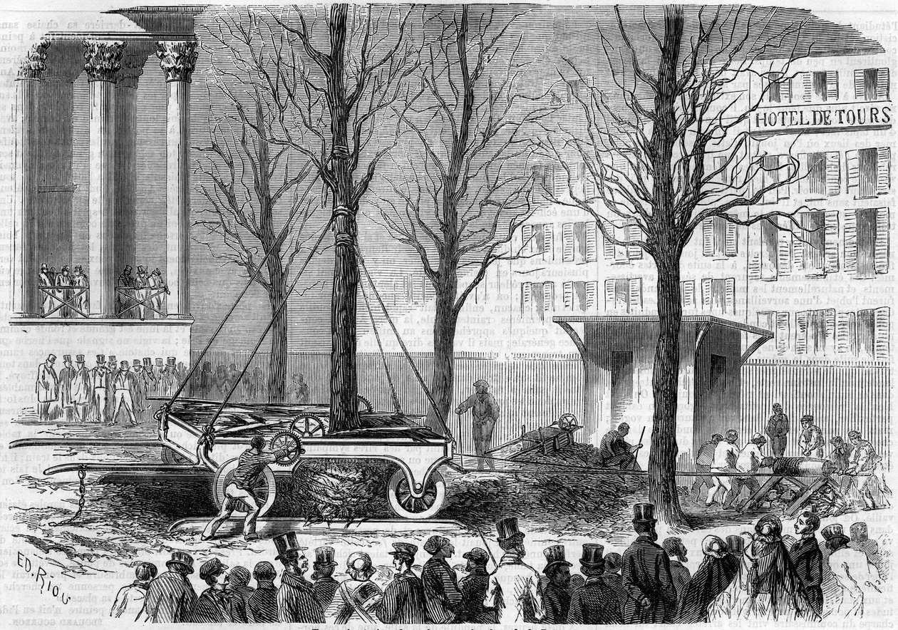 Transplantation av träd på Place de la Bourse i Paris under vintern 1858. Gravyr av Riou i "" Le Monde Illustré"" nr 46 den 27 februari 1858. av Edouard Riou