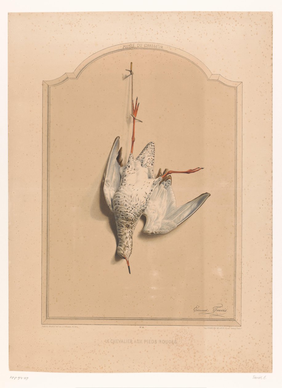 Död rödben hängande på ett ben Le chevalier aux pieds rouge (titel på objekt) Jägarens museum (serietitel) Musée du chasseur (serietitel på föremål) av Edouard Travies
