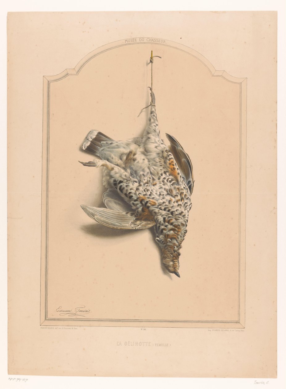 Död halsbandshöns hängande på ett ben La gélinotte (hona) (titel på objekt) Jägarens museum (serietitel) Musée du chasseur (serietitel på föremål) av Edouard Travies