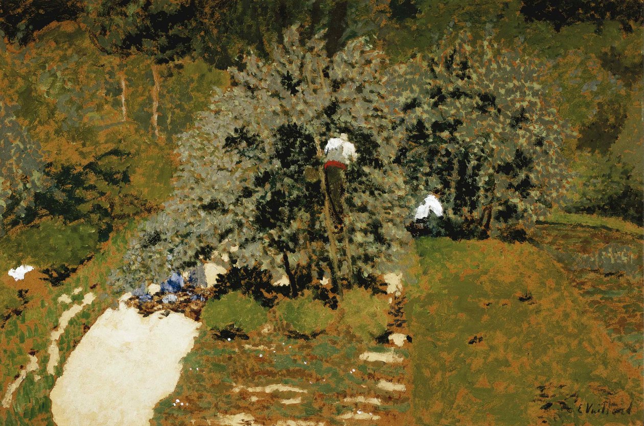 Plockning, 1899-1900. av Edouard Vuillard