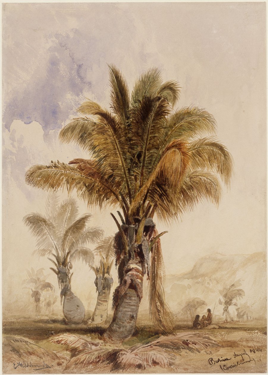 Kokospalmer i Bahia av Eduard Hildebrandt