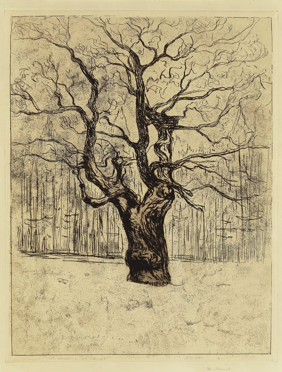 Eken av Edvard Munch