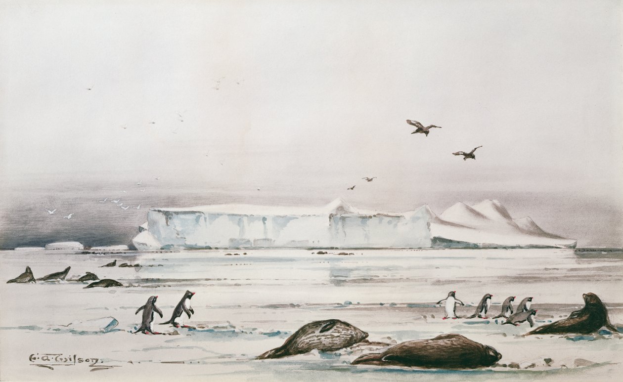 Antarktis Landskab swed av Edward Adrian Wilson