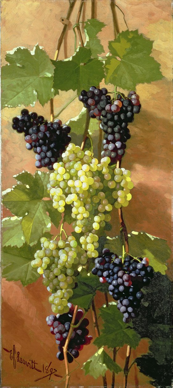 Vindruvor, 1897 av Edward Chalmers Leavitt