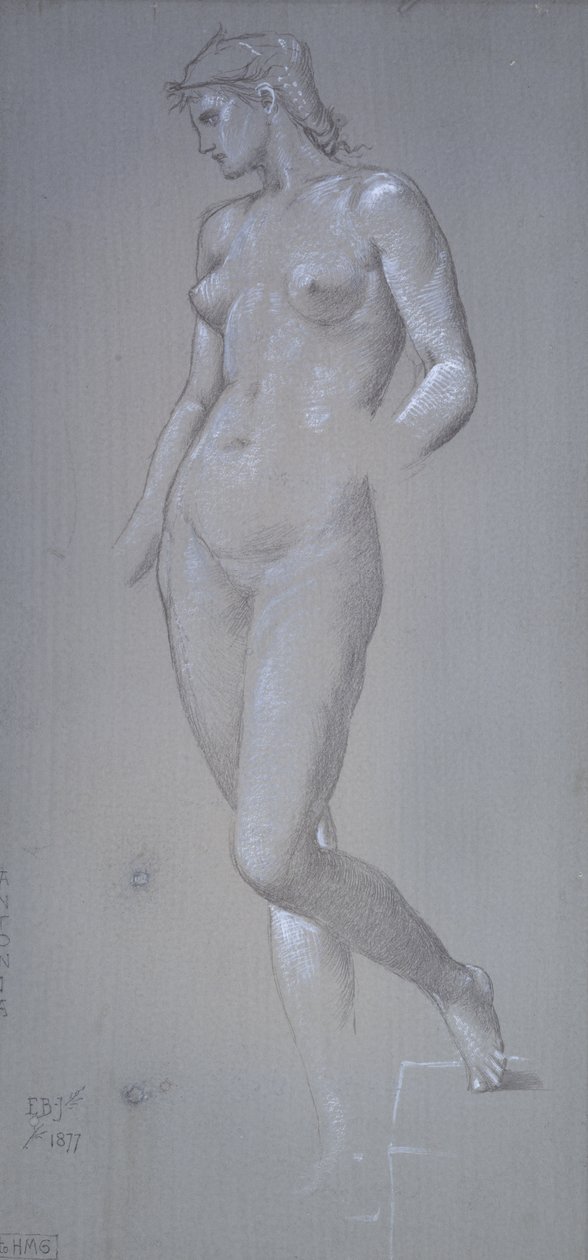 Antonia, 1877 (Silverstift och bodycolour på grå preparerad grund) av Edward Burne Jones
