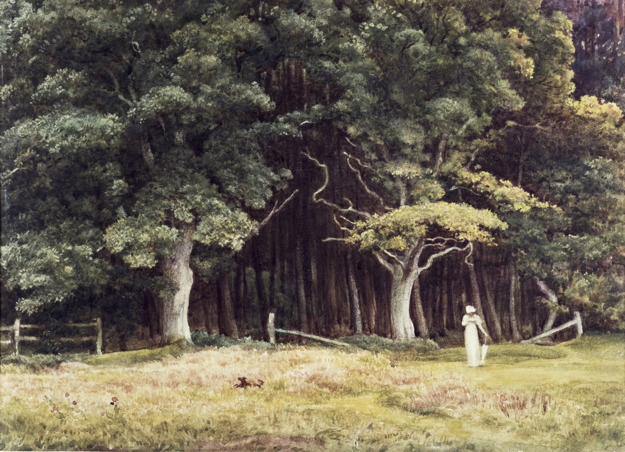 Skogslandskap, ca 1900 av Edward John Poynter