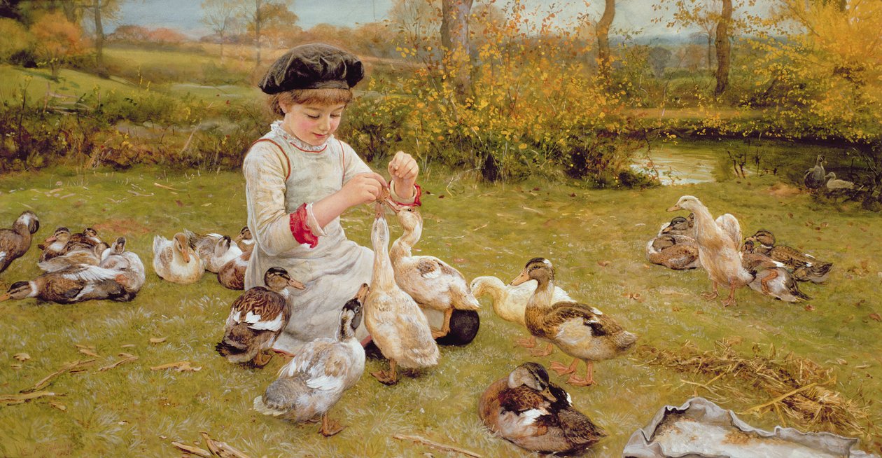 Mata ankorna av Edward Killingworth Johnson