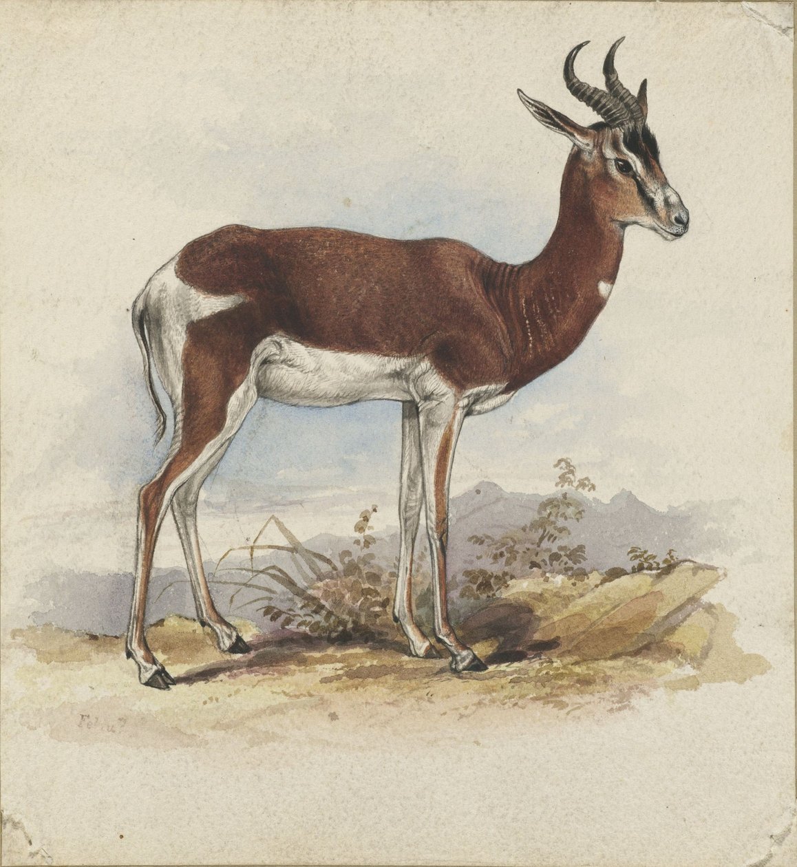 An antelope  av Edward Lear