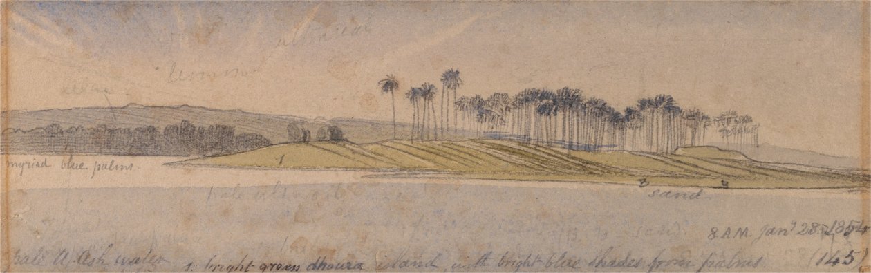 Dhaura Island av Edward Lear