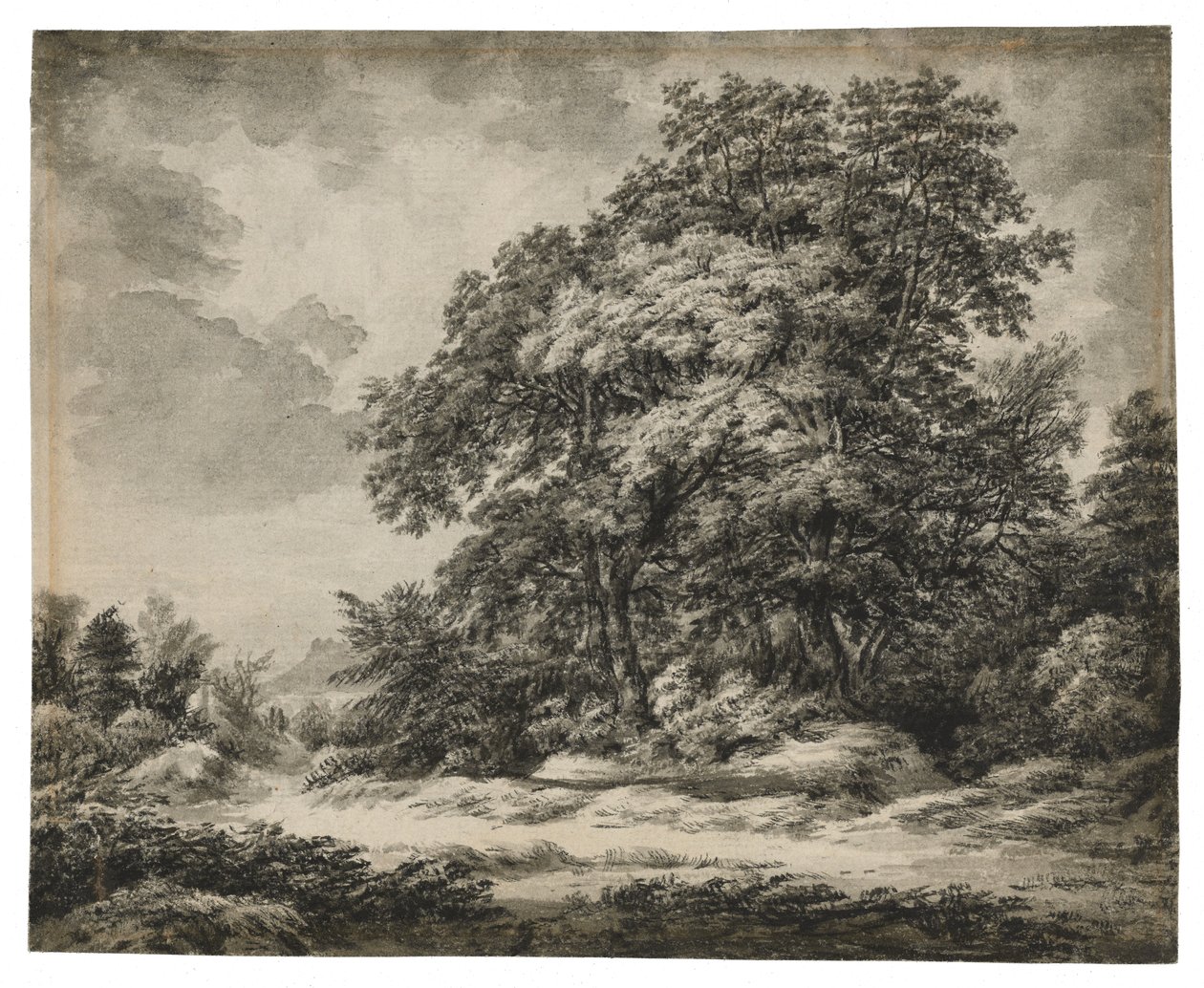Skogslandskap (recto), ca. 1838-1848 (bläck och tvätt på lagt papper) av Edward Lear
