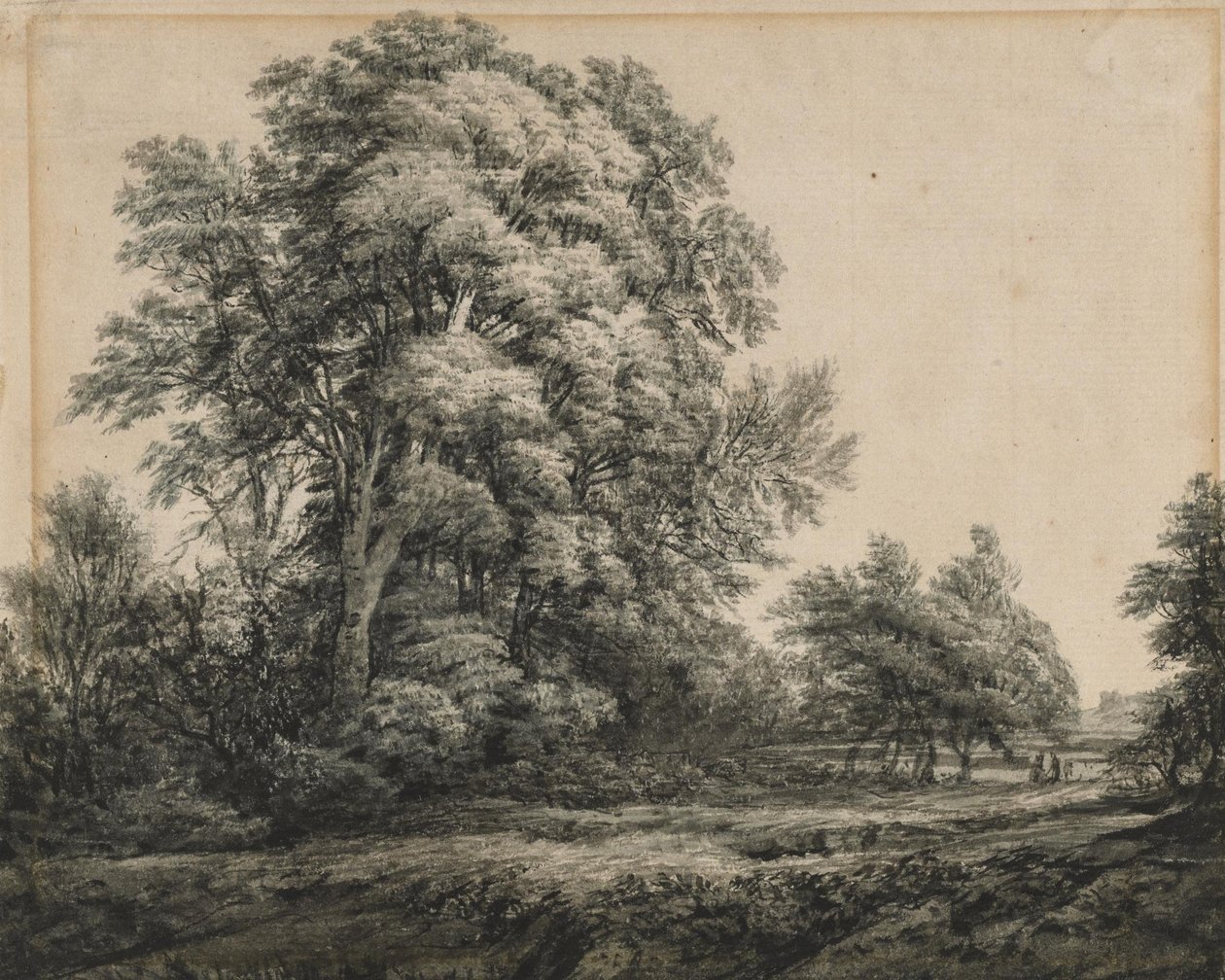 Skogslandskap av Edward Lear