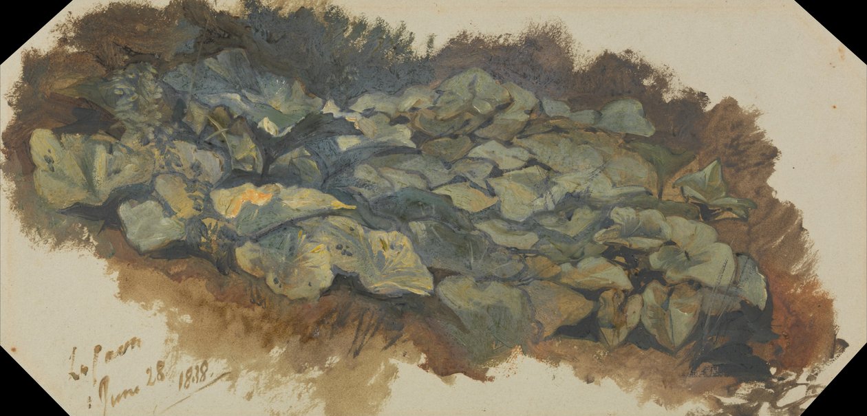 Cava av Edward Lear