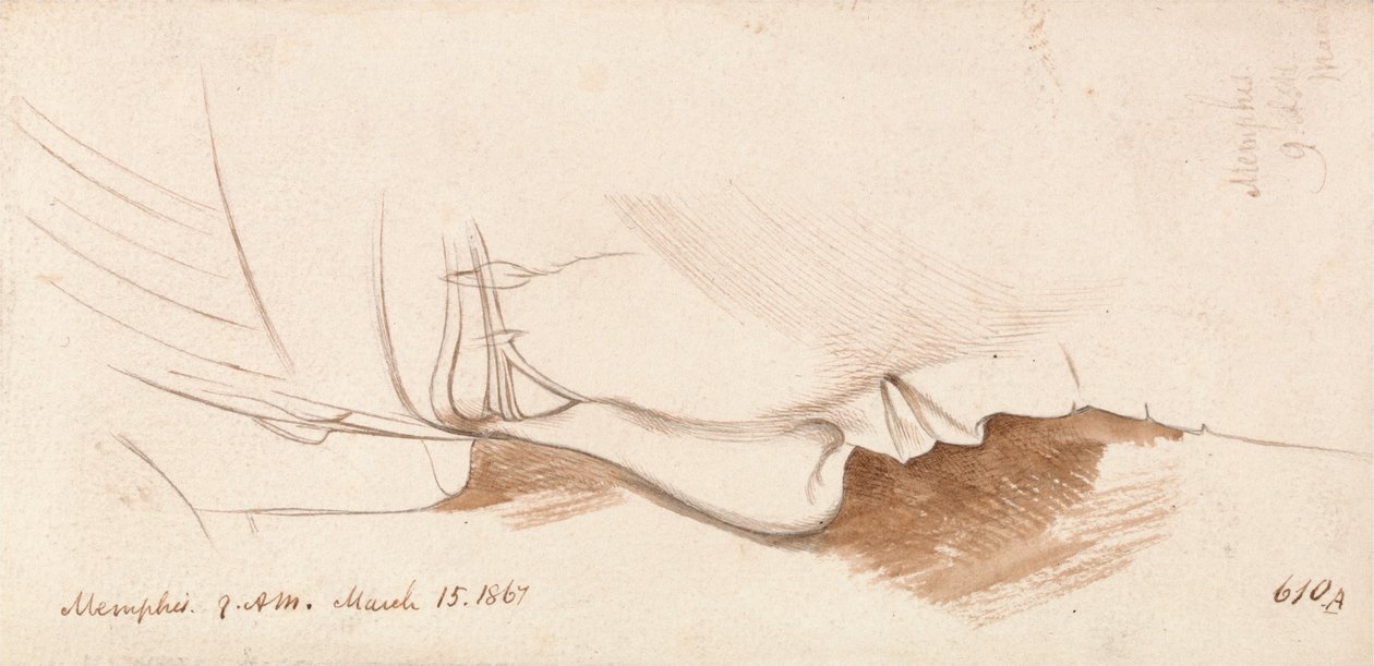 Memphis av Edward Lear
